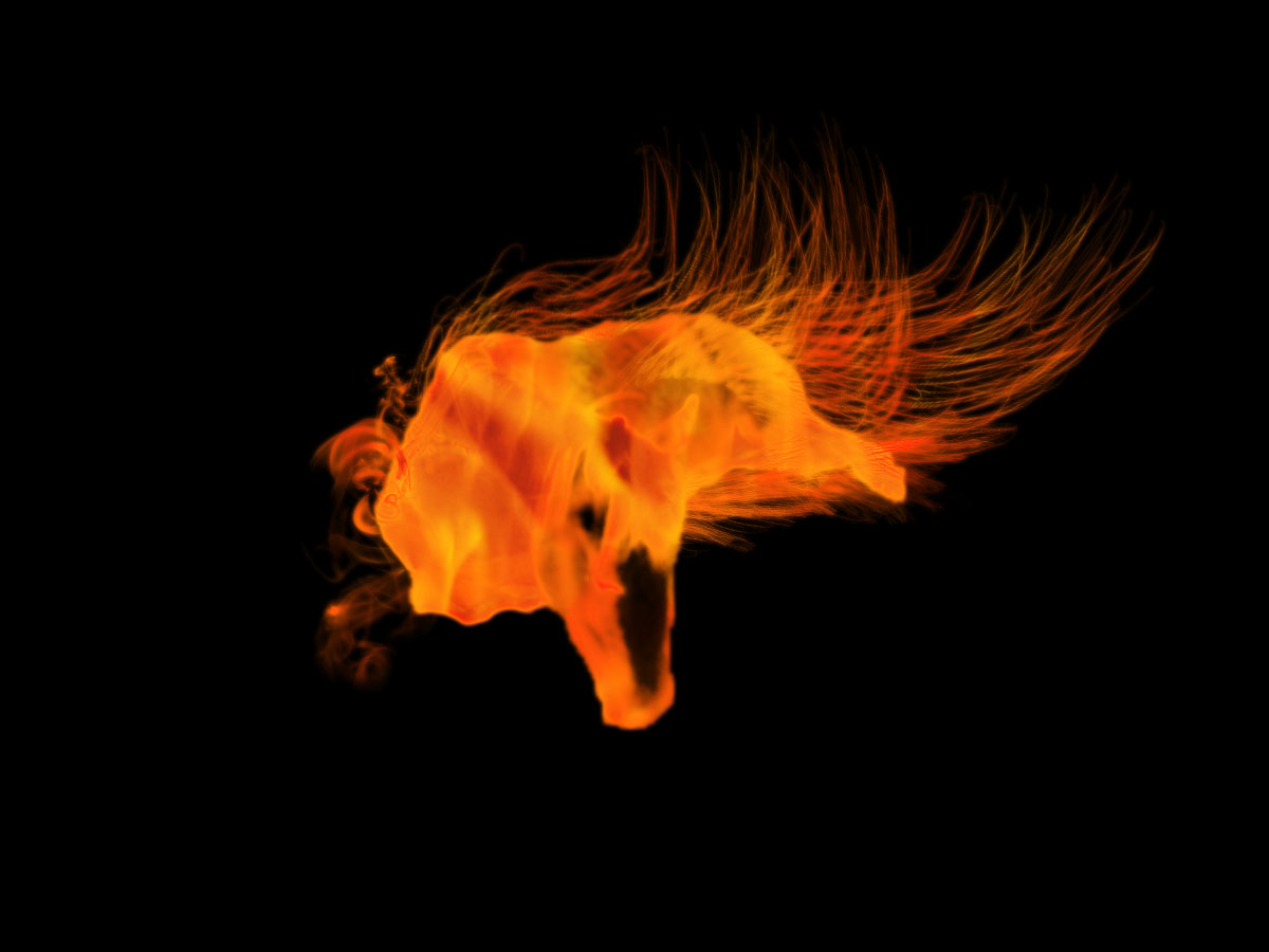 flaming horse